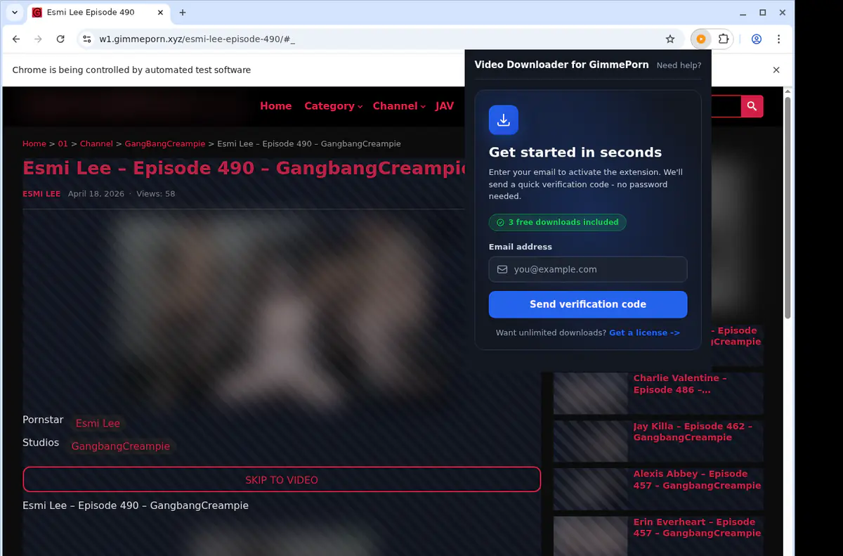 Gimmeporn Video Downloader browser extension screenshot 5